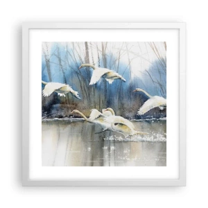 Poster in einem weißen Rahmen - Wie im Märchen von den wilden Schwänen - 40x40 cm