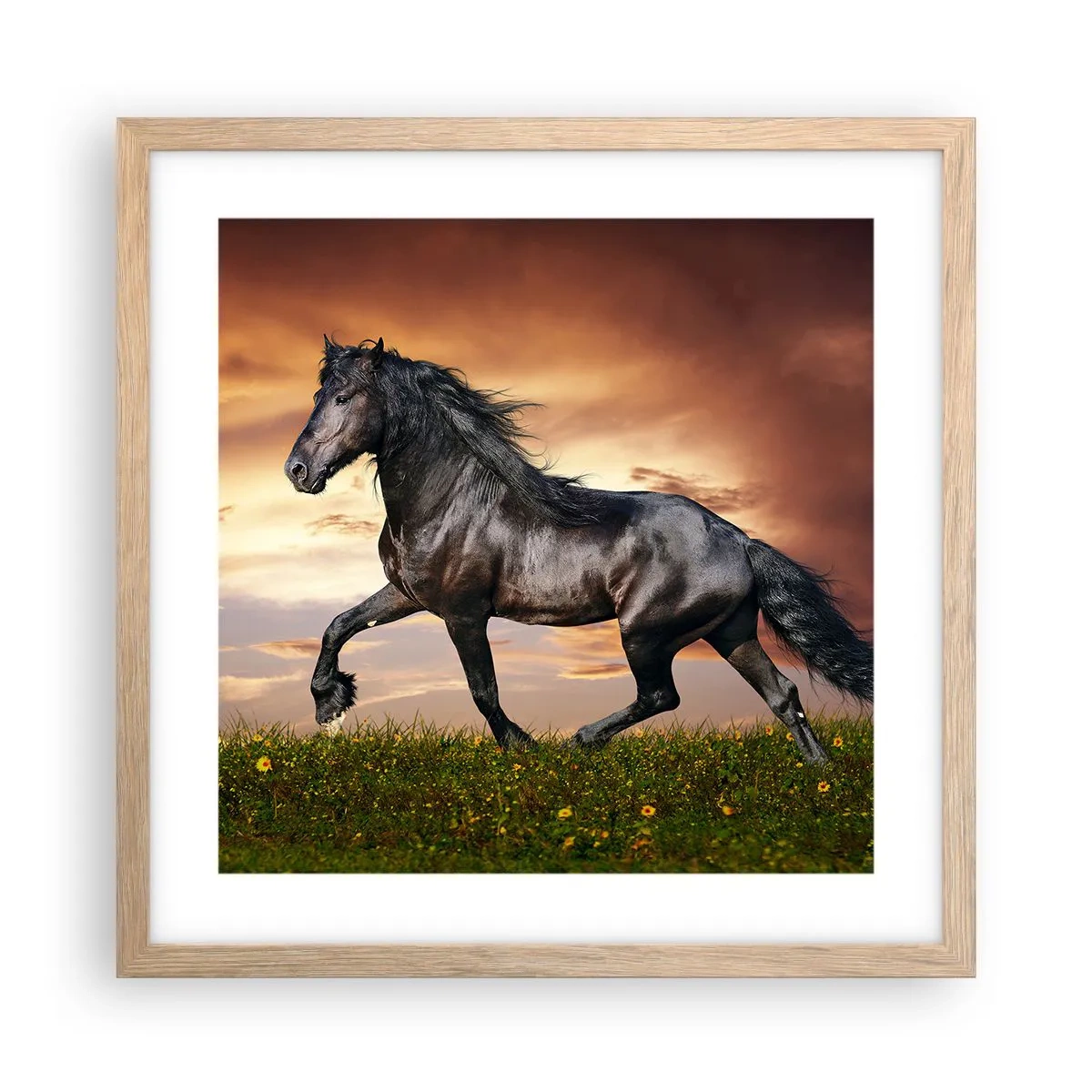 Poster in einem Rahmen aus heller Eiche - Schwarzer Prinz - 40x40 cm