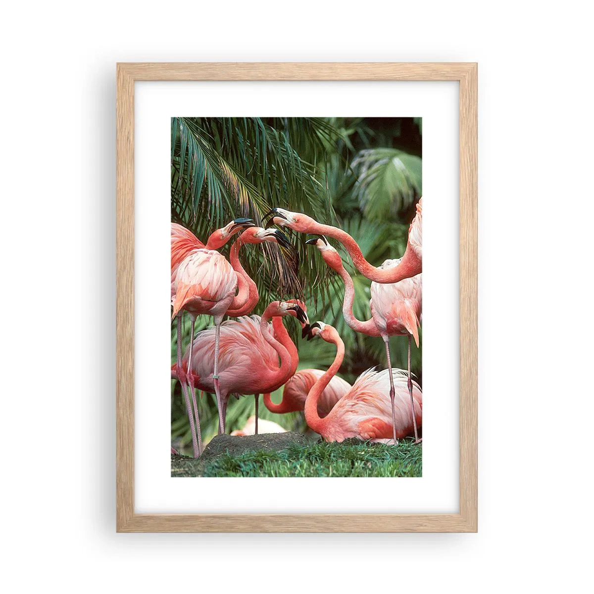 Poster in einem Rahmen aus heller Eiche - Nachmittagsklatsch - 30x40 cm