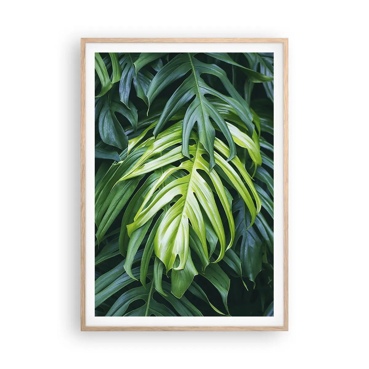 Poster in einem Rahmen aus heller Eiche - Tauchen Sie ein in die Frische - 70x100 cm