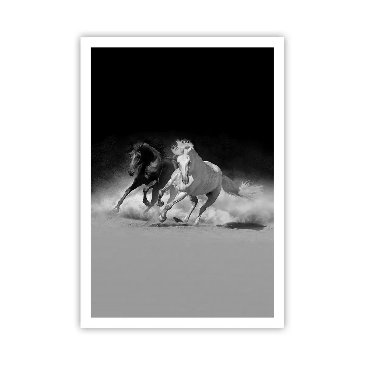 Poster - Galopp der Freiheit - 70x100 cm