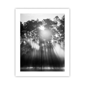 Poster - Unaufhaltsame Sonne - 40x50 cm