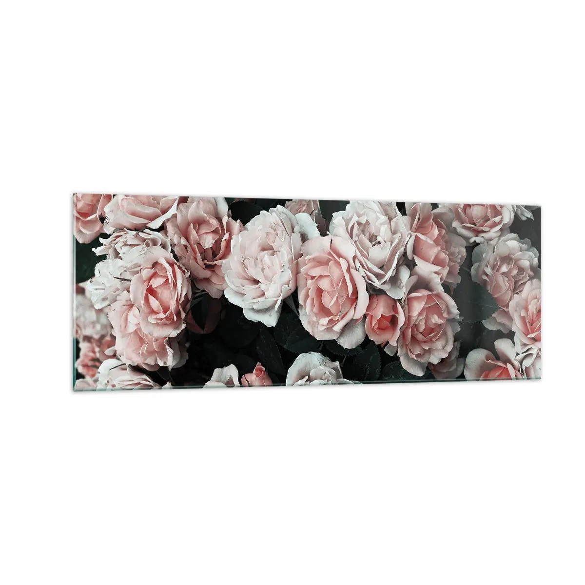 Glasbild - Bild auf glas - Rosa Rosen auf dunklem Hintergrund in einer subtilen Komposition - 140x50cm - Rosen-Ensemble - Moderne Wanddekoration für Wohnzimmer und Schlafzimmer ARTTOR