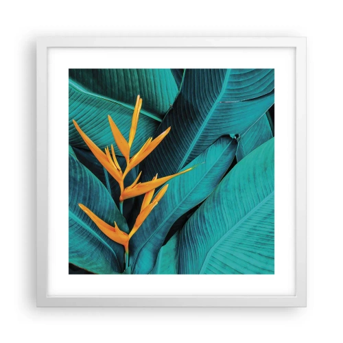 Poster in einem weißen Rahmen - Eden-Blume - 40x40 cm