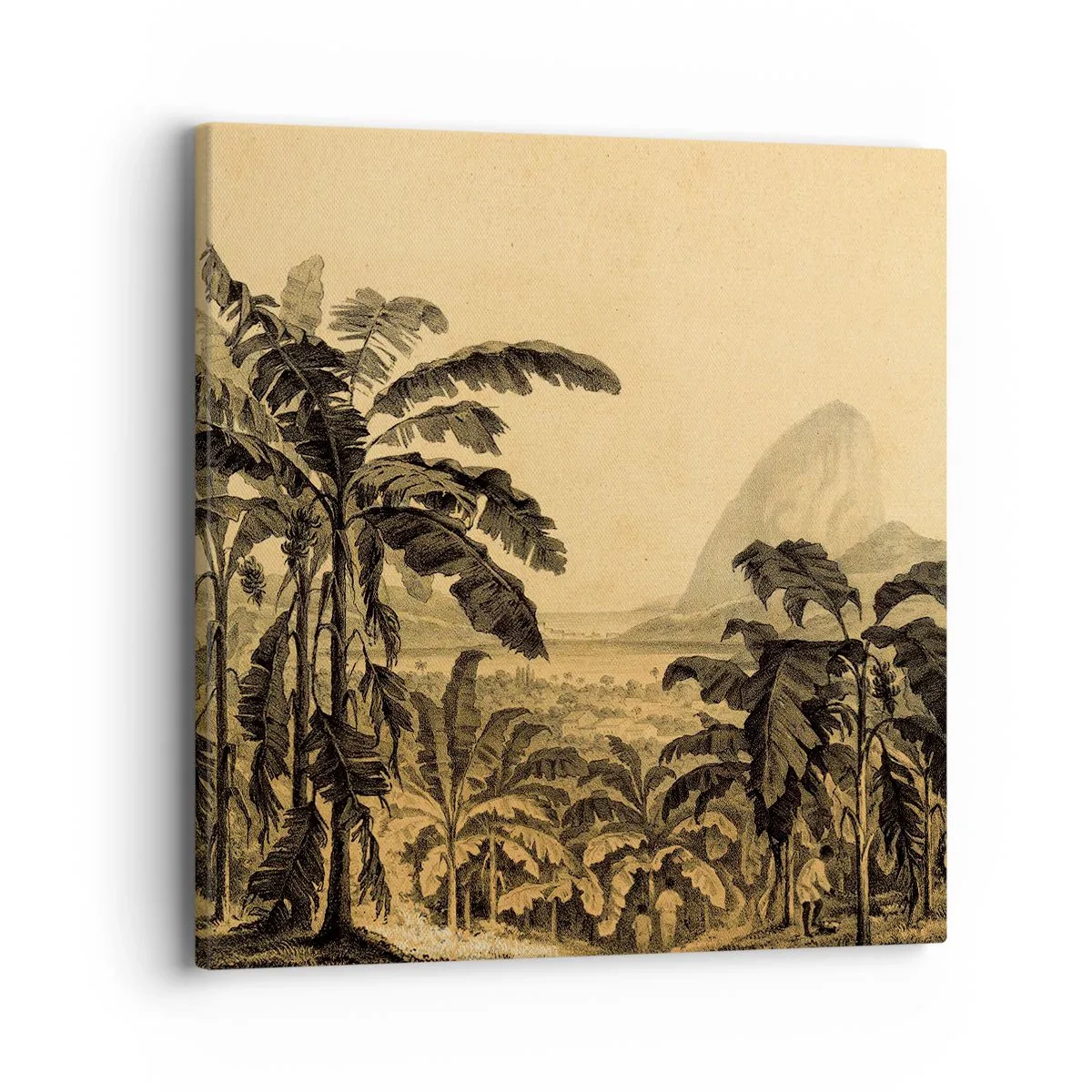 Bild auf Leinwand - Leinwandbild - in einem kolonialen Klima - 40x40 cm