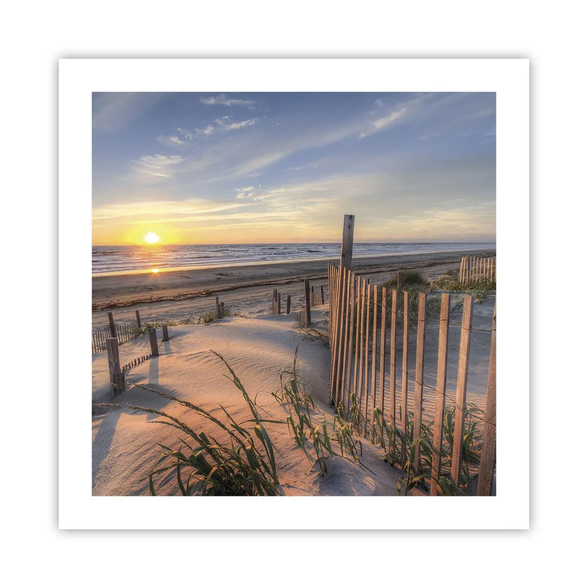 Poster - Schein und Schatten des Windes - 50x50 cm