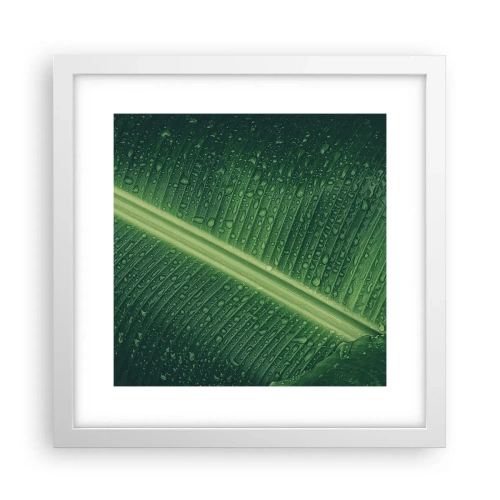 Poster in einem weißen Rahmen - Die Struktur des Grüns - 30x30 cm