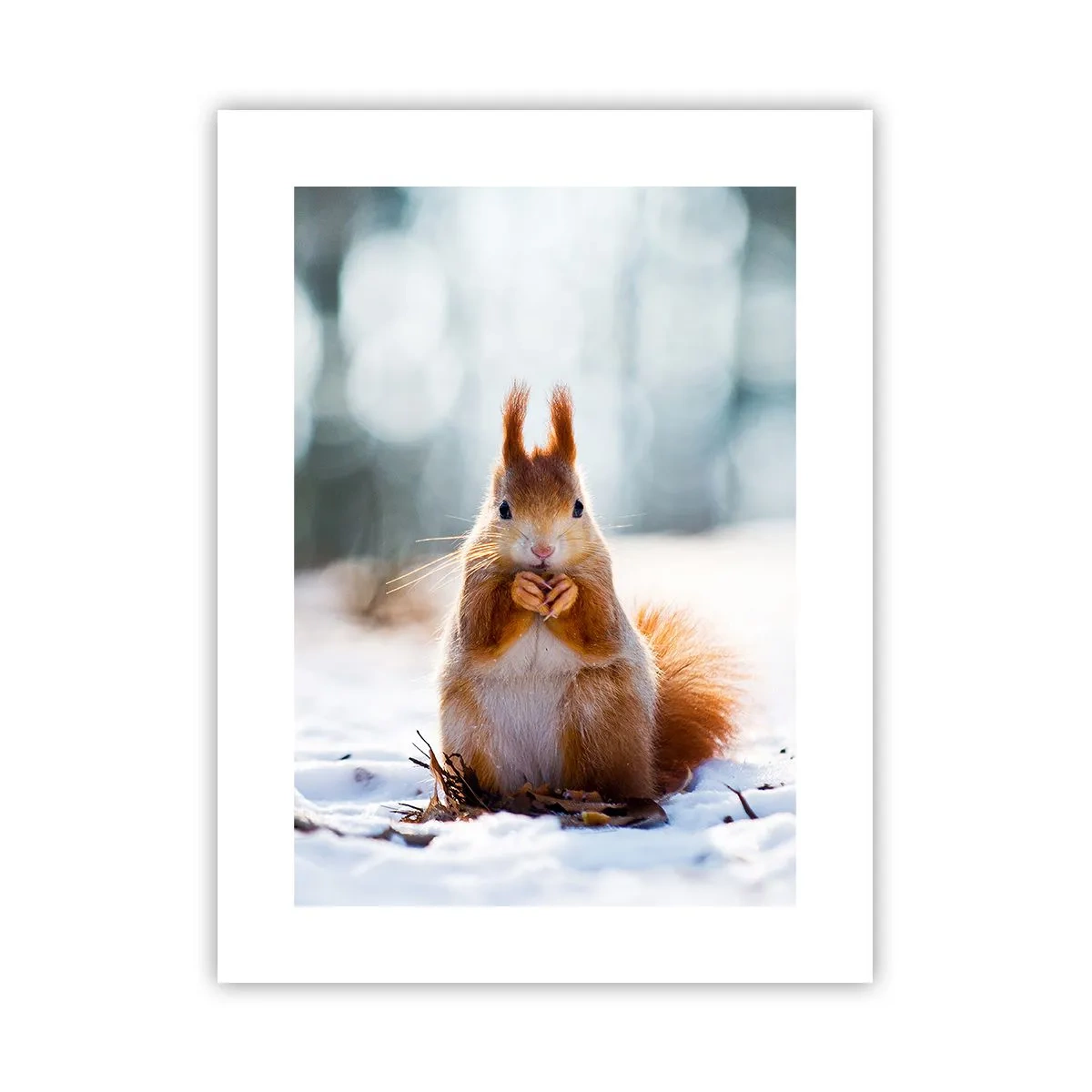 Poster - Wo schaust du hin? - 30x40 cm