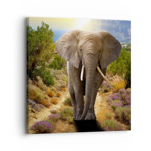 Bild auf Leinwand - Leinwandbild - So sah Eden aus - 30x30 cm