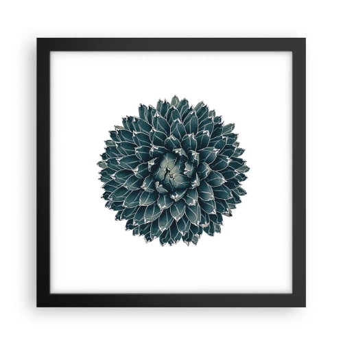 Poster in einem schwarzem Rahmen - Stern der Wüste - 30x30 cm