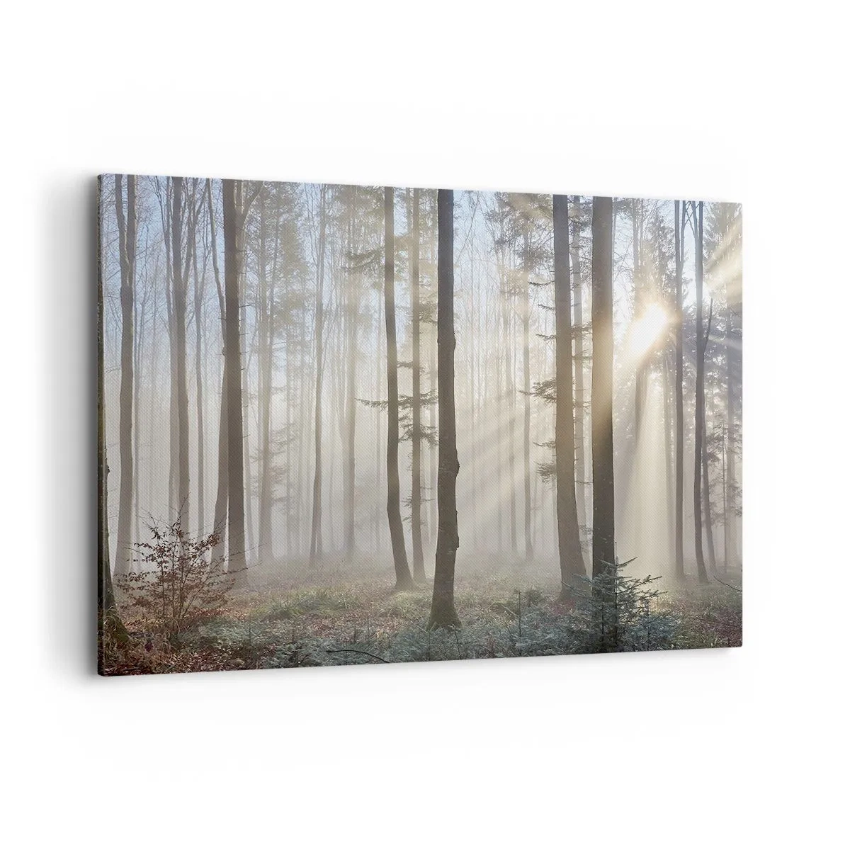 Bild auf Leinwand - Leinwandbild - Ein Wald in leichtem Nebel mit Sonnenstrahlen, die durch die Bäume scheinen - 100x70cm - Der Nebel ist auch aufgewacht - Moderne Wanddekoration für Wohnzimmer und Schlafzimmer ARTTOR
