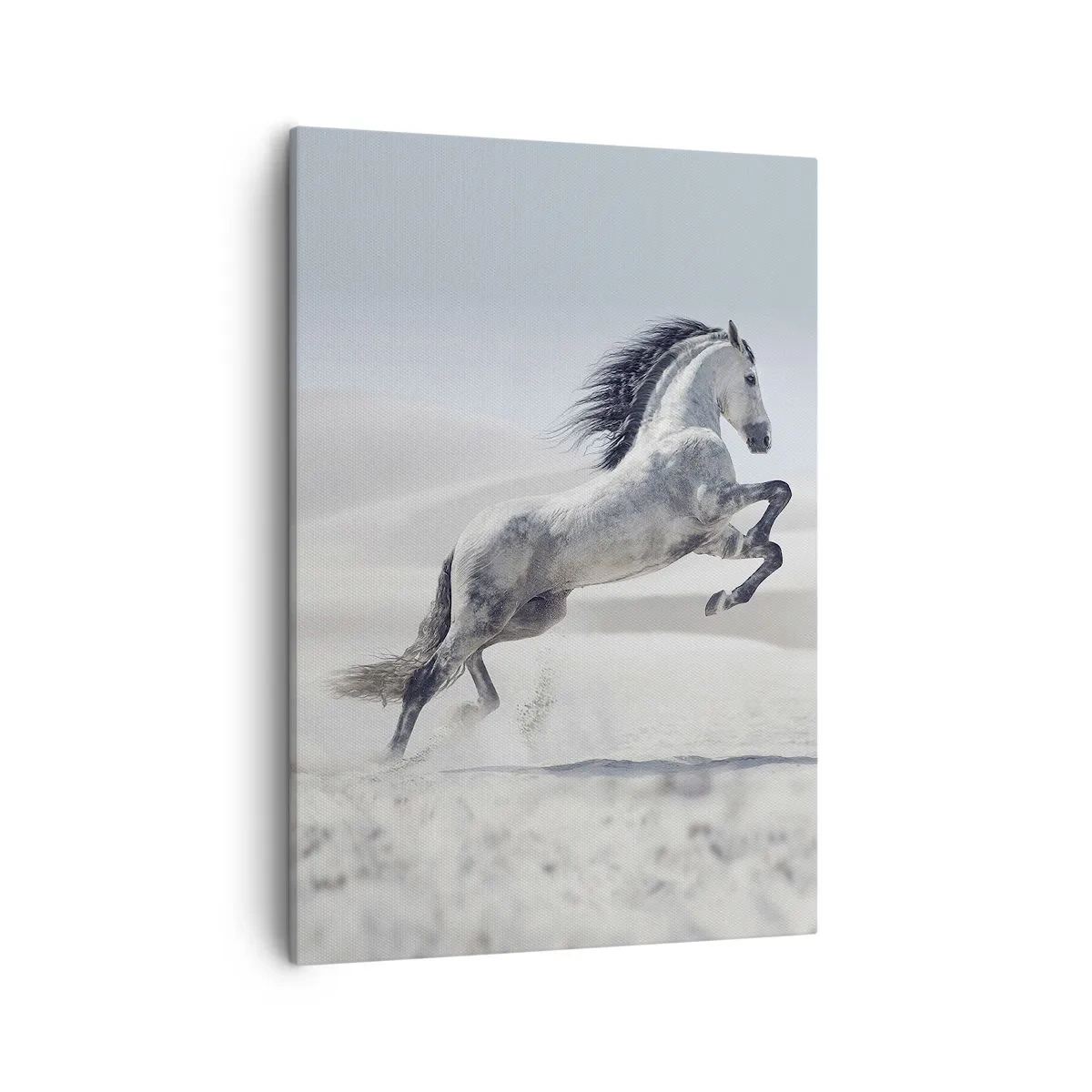 Bild auf Leinwand - Leinwandbild - Ein weißes Pferd galoppiert vor der Kulisse der Wüstendünen - 50x70cm - Arabischer Prinz - Moderne Wanddekoration für Wohnzimmer und Schlafzimmer ARTTOR
