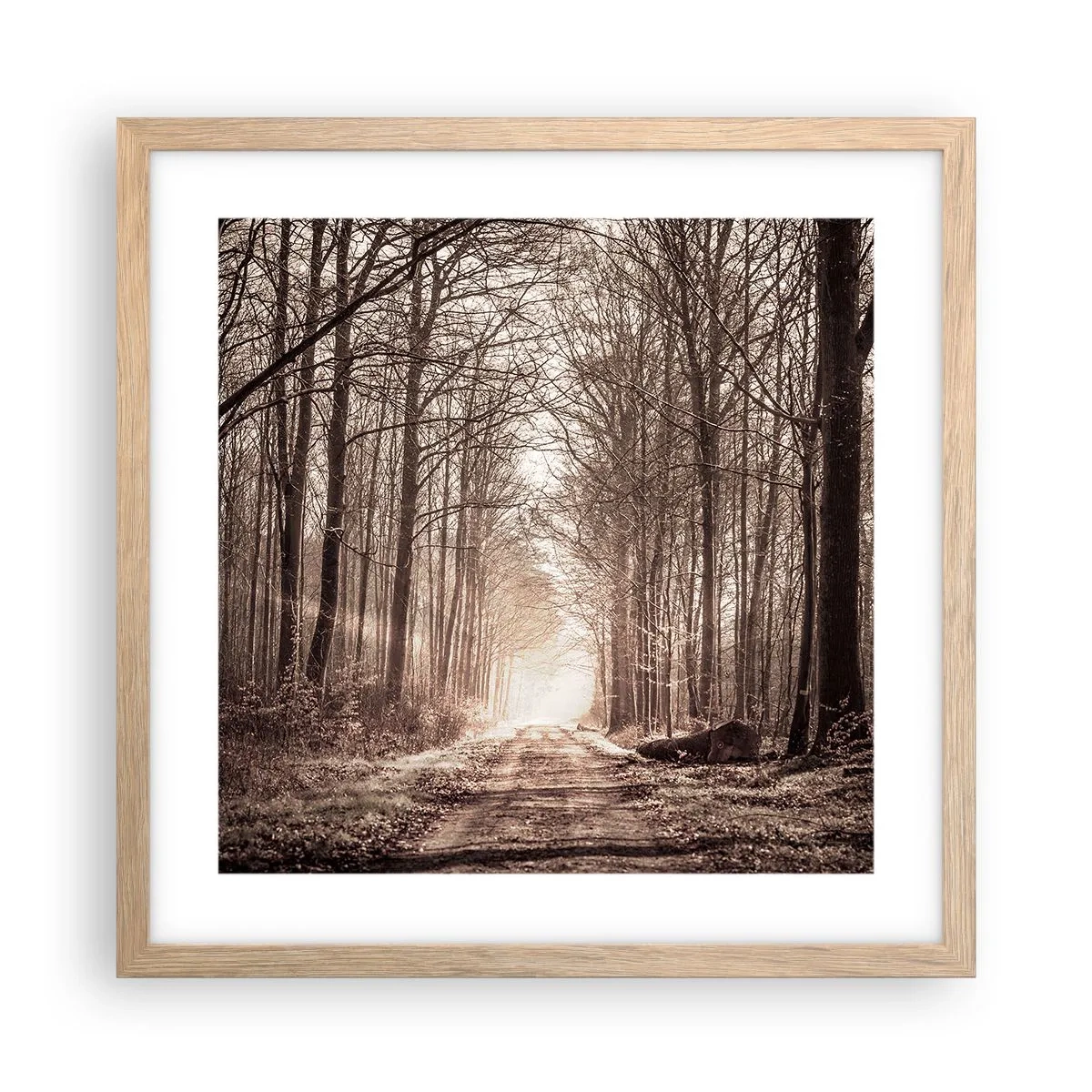 Poster in einem Rahmen aus heller Eiche - Waldkathedrale - 40x40 cm