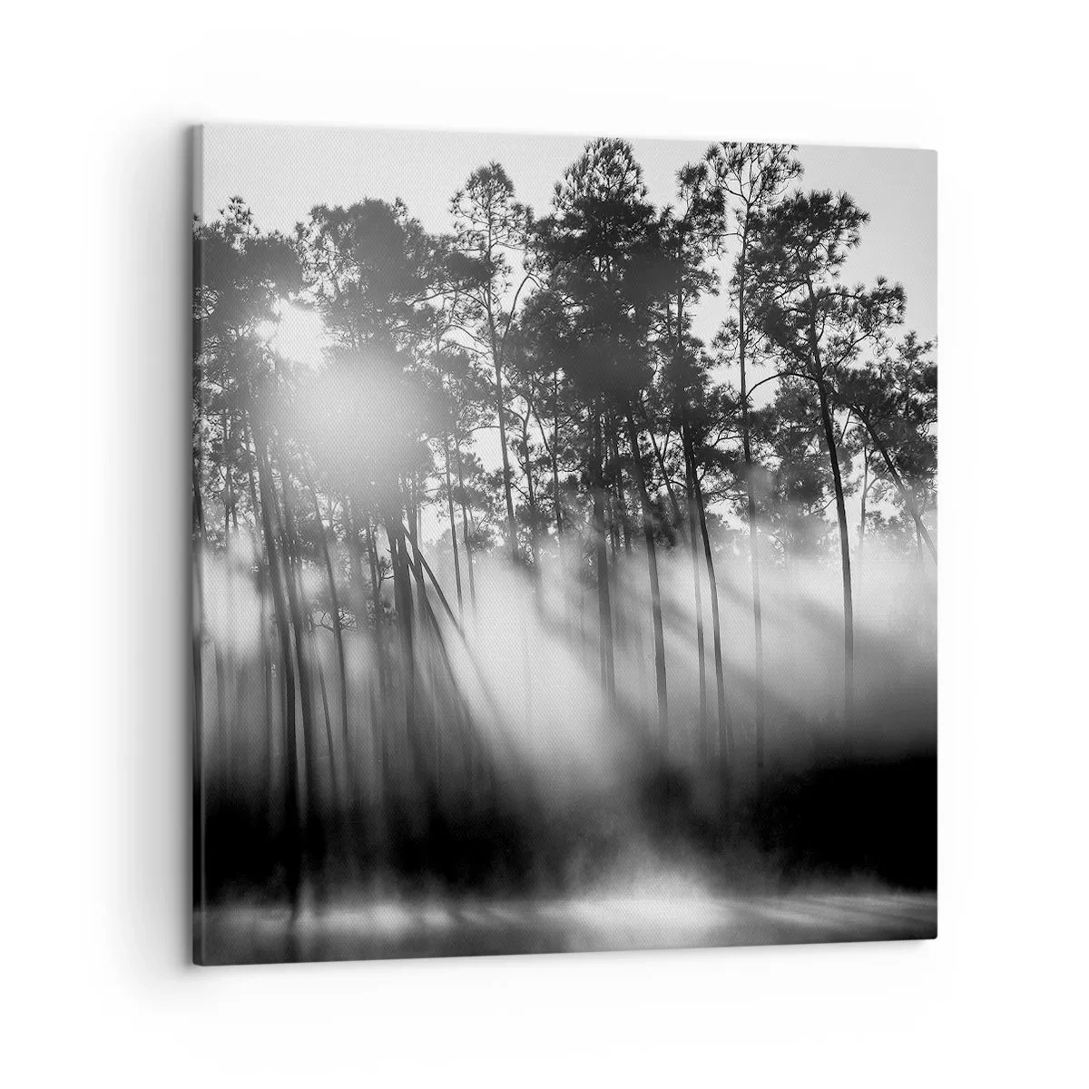 Bild auf Leinwand - Leinwandbild - Unaufhaltsame Sonne - 50x50 cm