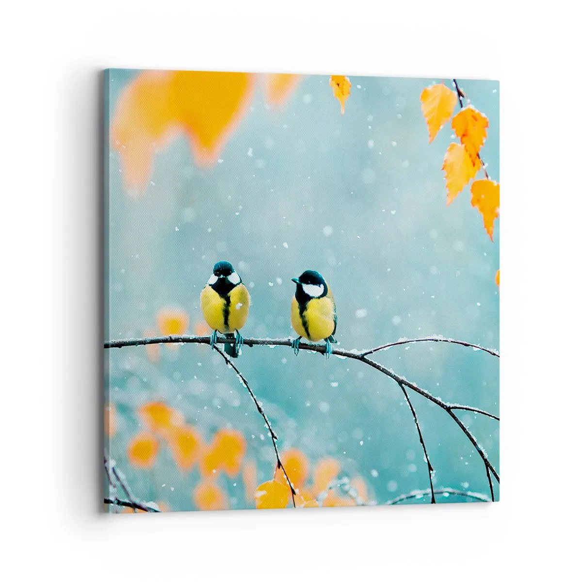 Bild auf Leinwand - Leinwandbild - Vogelklatsch - 70x70 cm