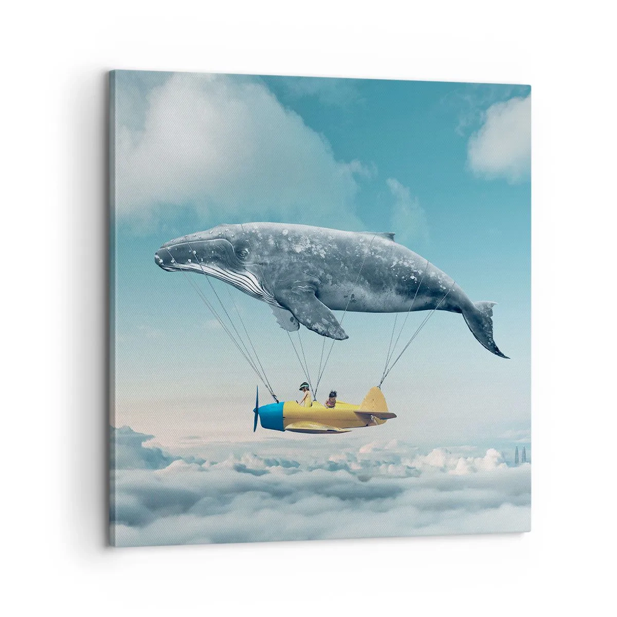 Bild auf Leinwand - Leinwandbild - Warum nicht? - 60x60 cm