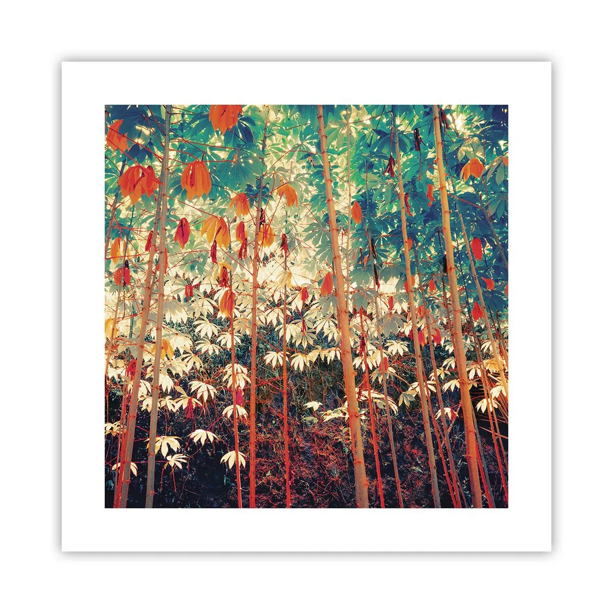 Poster - Das geheime Leben der Blätter - 40x40 cm