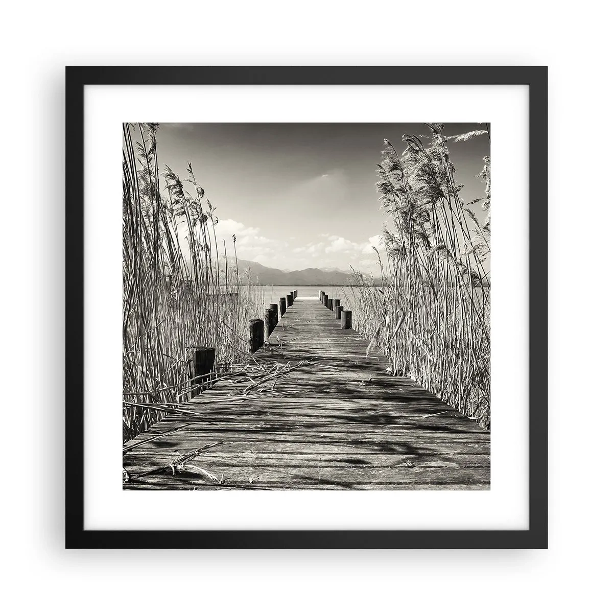 Poster in einem schwarzem Rahmen - In der Stille des Grases - 40x40 cm