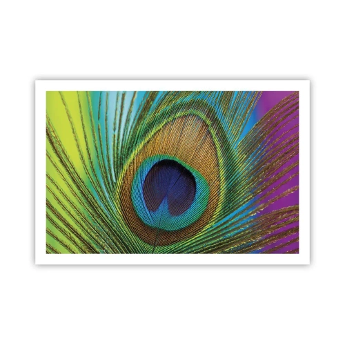 Poster - Auge in Auge - 91x61 cm