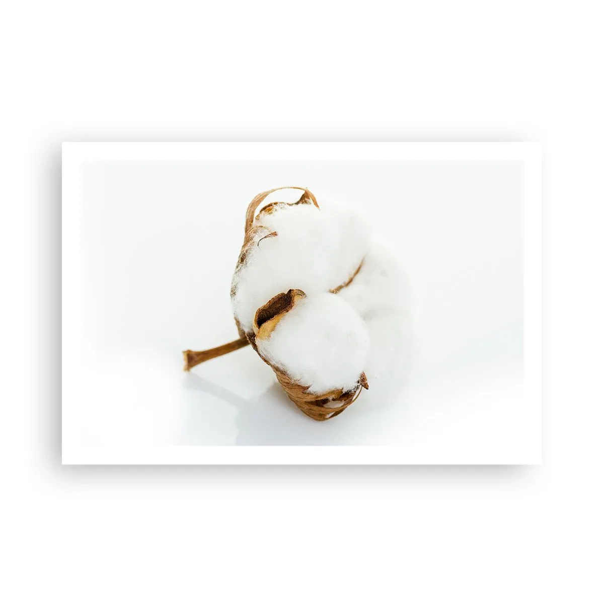 Poster - Von Natur aus weich - 91x61 cm