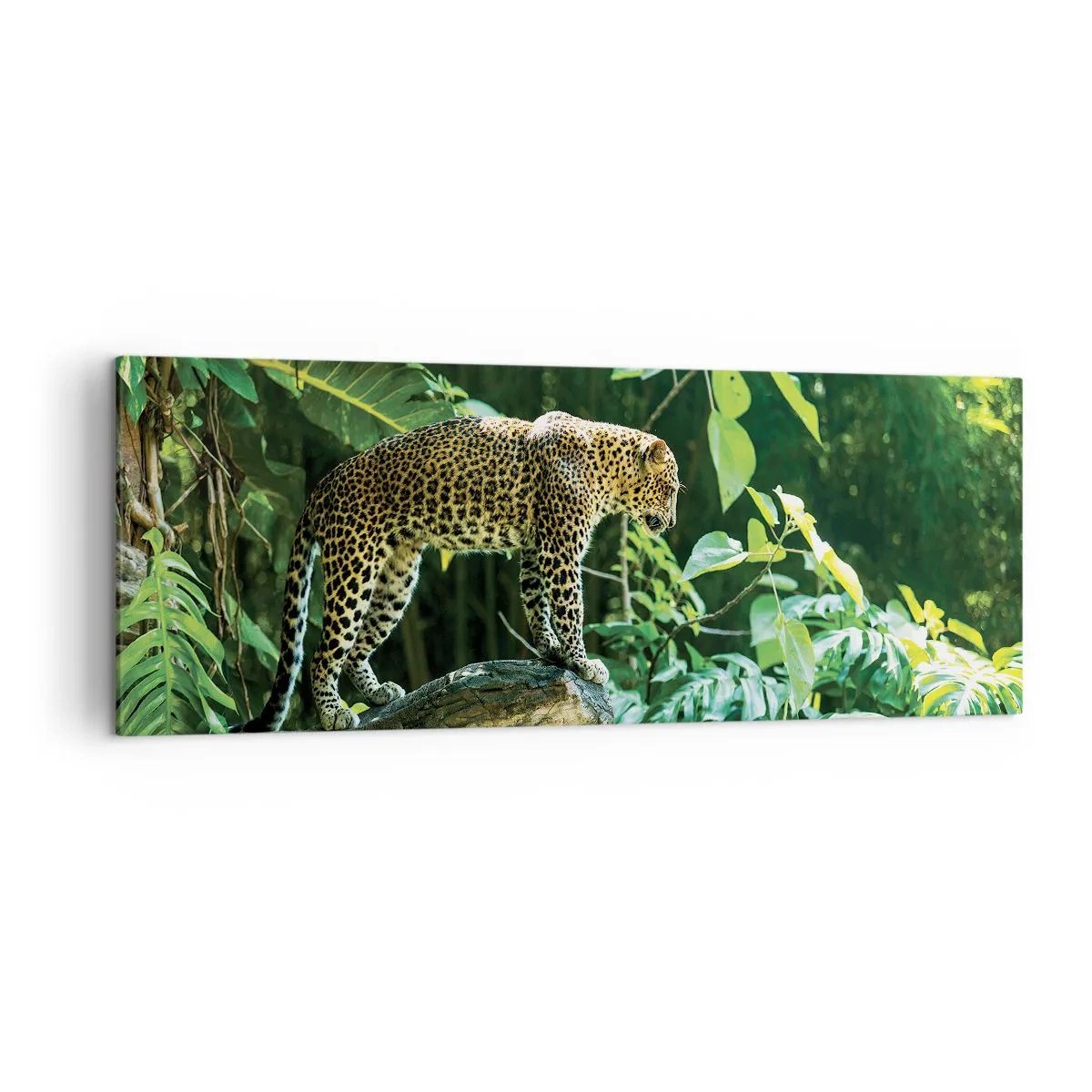 Bild auf Leinwand - Leinwandbild - Ein Leopard steht auf einem Felsen, umgeben von tropischer Vegetation - 140x50cm - Auf die Jagd? - Moderne Wanddekoration für Wohnzimmer und Schlafzimmer ARTTOR