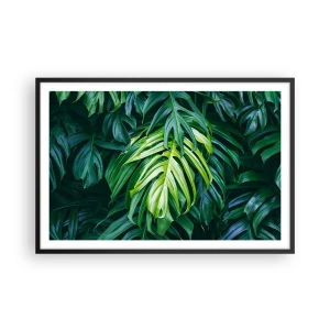 Poster in einem schwarzem Rahmen - Tauchen Sie ein in die Frische - 91x61 cm