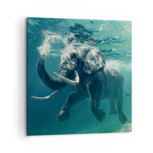 Bild auf Leinwand - Leinwandbild - Jeder schwimmt gerne - 50x50 cm