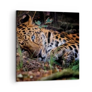 Bild auf Leinwand - Leinwandbild - Vertrau mir - 50x50 cm