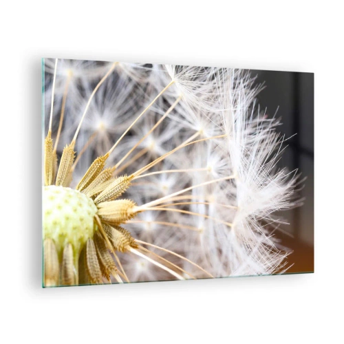 Glasbild - Bild auf glas - Nahaufnahme eines Löwenzahns mit zarten Samen - 70x50cm - Kurz vor dem Abflug - Moderne Wanddekoration für Wohnzimmer und Schlafzimmer ARTTOR