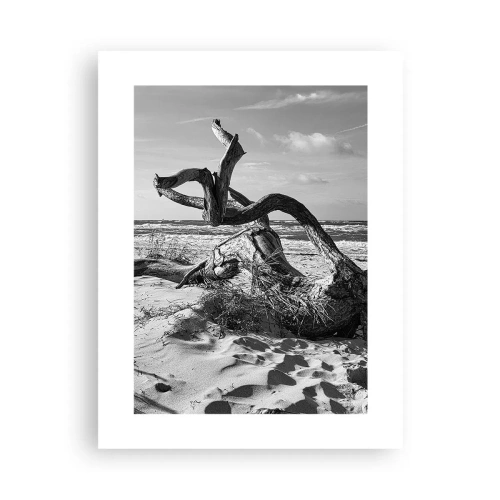 Poster - Meeresskulptur - 30x40 cm