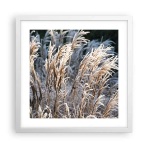 Poster in einem weißen Rahmen - Gekleidet mit Frost - 40x40 cm