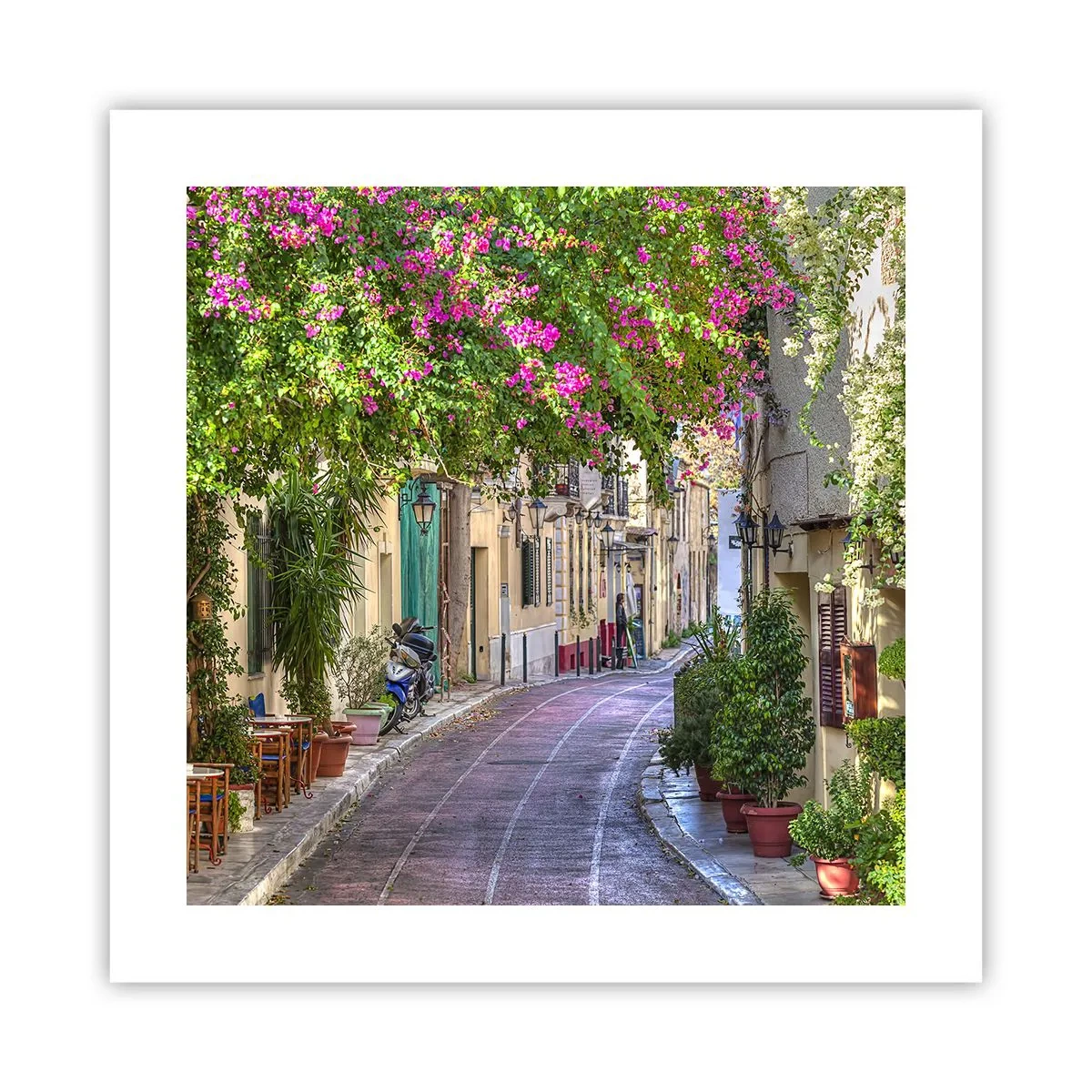 Poster - Blühende Gasse - 40x40 cm