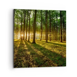 Bild auf Leinwand - Leinwandbild - Alle Frühlingsfotografie - 70x70 cm