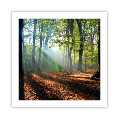 Poster - Licht und Schatten - 50x50 cm