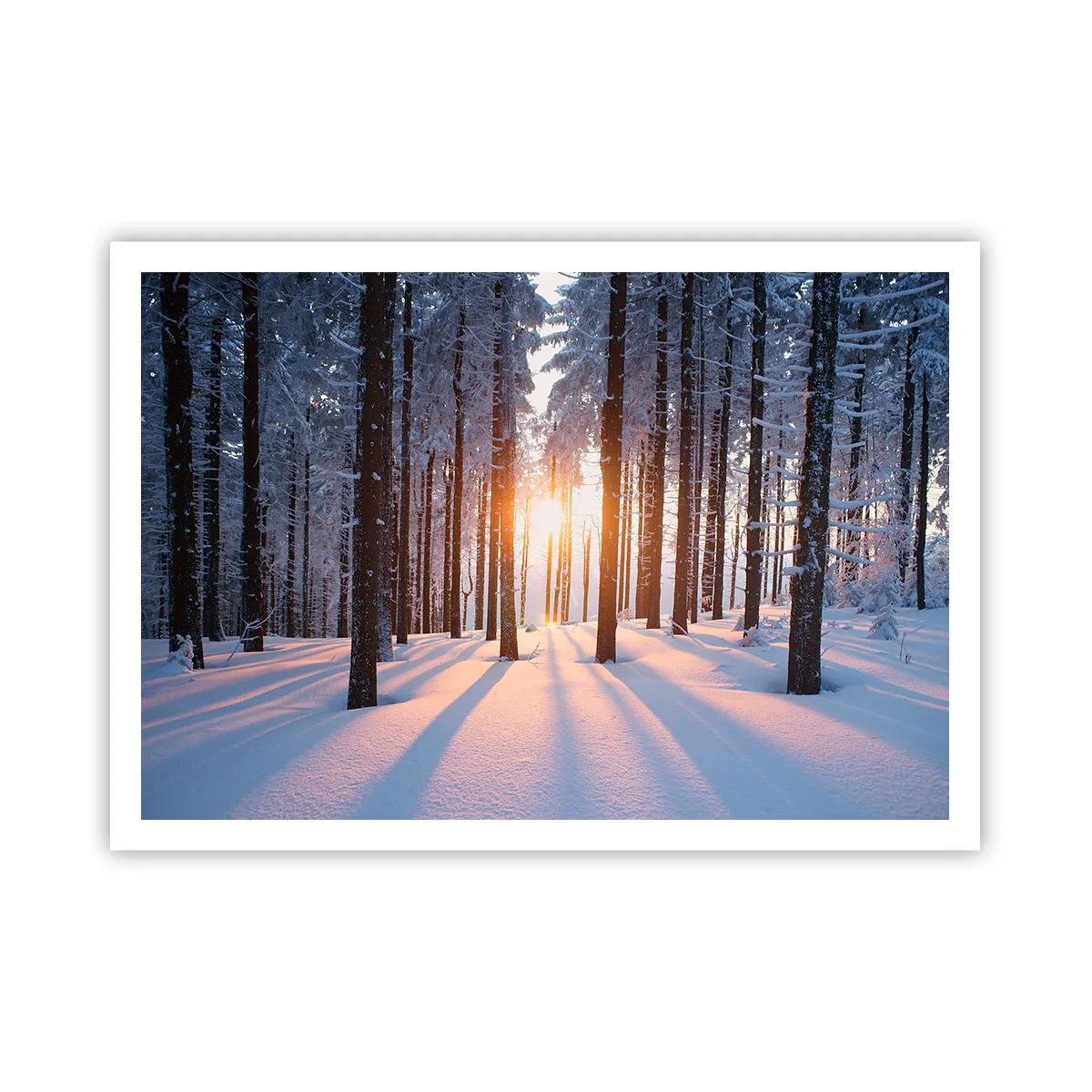 Poster - Winterwald, beleuchtet von den Sonnenstrahlen - 100x70cm - Ganz klar schwarz auf weiß - Moderne Wanddekoration für Wohnzimmer und Schlafzimmer ARTTOR