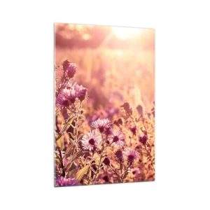 Glasbild - Bild auf glas - Wiese im Licht der untergehenden Sonne - 70x100cm - Bevor der Sommer vorbei ist - Moderne Wanddekoration für Wohnzimmer und Schlafzimmer ARTTOR