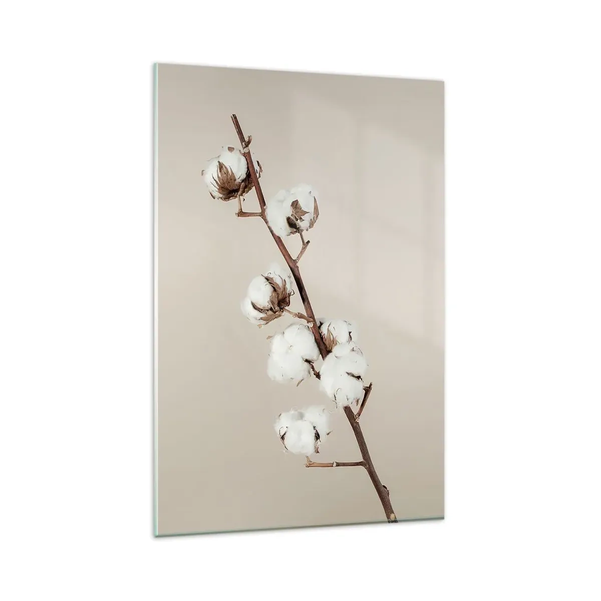 Glasbild - Bild auf glas - Ein Zweig Baumwolle auf beigem Hintergrund - 80x120cm - An der Quelle der Weichheit - Moderne Wanddekoration für Wohnzimmer und Schlafzimmer ARTTOR