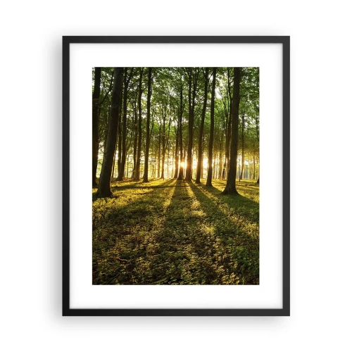 Poster in einem schwarzem Rahmen - Alle Frühlingsfotografie - 40x50 cm