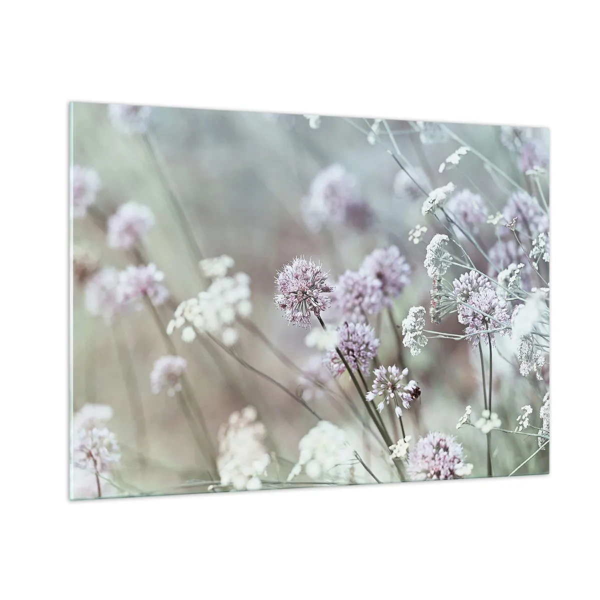 Glasbild - Bild auf glas - Zarte Wildblumen in Pastelltönen - 100x70cm - Süße filigrane Kräuter - Moderne Wanddekoration für Wohnzimmer und Schlafzimmer ARTTOR