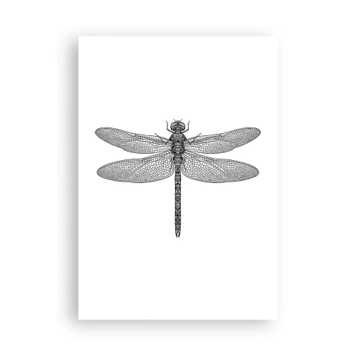 Poster - Präzision der Natur - 70x100 cm