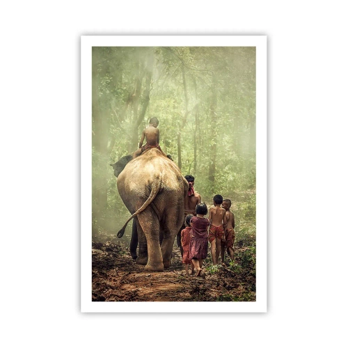 Poster - Neues Dschungelbuch - 61x91 cm