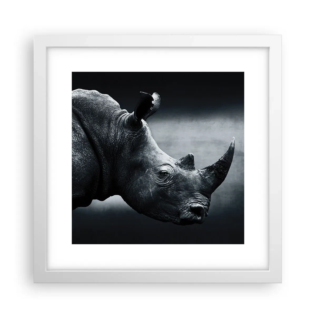 Poster in einem weißen Rahmen - Richtiges Profil - 30x30 cm