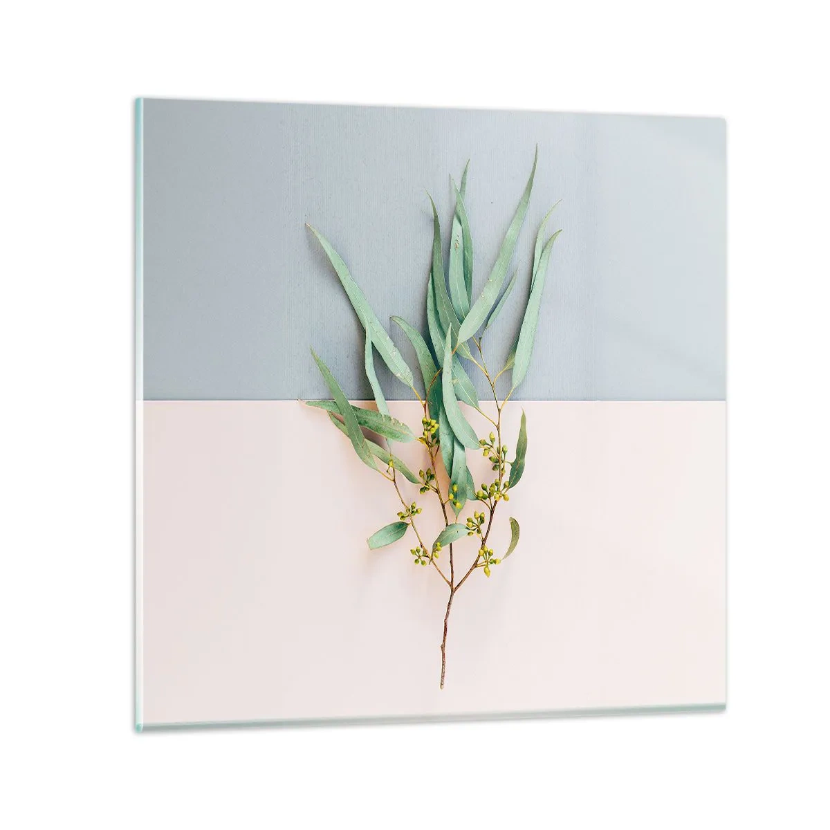 Glasbild - Bild auf glas - Pastellige Subtilität - 50x50 cm