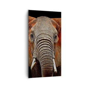 Bild auf Leinwand - Leinwandbild - Ich bin wild und du? - 65x120 cm