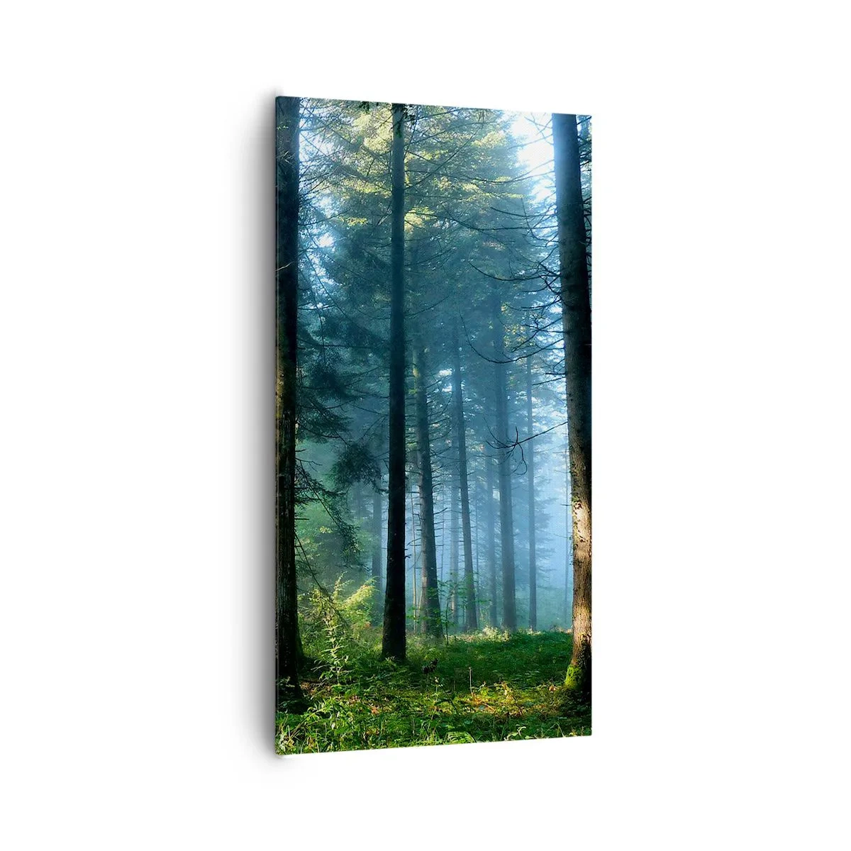 Bild auf Leinwand - Leinwandbild - Strahlend am Morgen - 65x120 cm