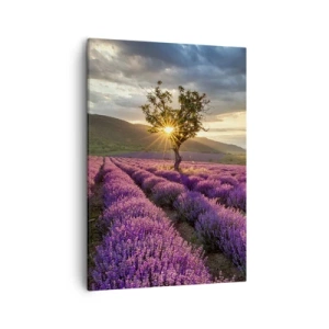 Bild auf Leinwand - Leinwandbild - Ein Lavendelfeld mit einem einsamen Baum bei Sonnenuntergang - 50x70cm - Fliederfarbenes Aroma - Moderne Wanddekoration für Wohnzimmer und Schlafzimmer ARTTOR