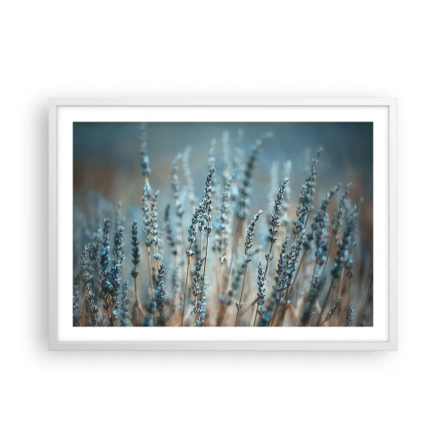 Poster in einem weißen Rahmen - Duftendes Kornfeld - 70x50 cm