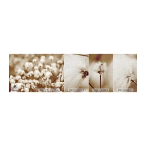 Fototapeten Muster Premium Canvas - Flauschiges Kornfeld - Baumwollblume, Blume, Baumwollzweig - 100x30 cm