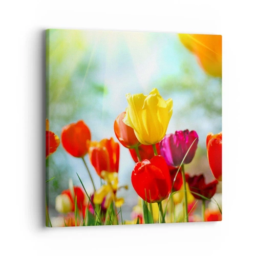 Bild auf Leinwand - Leinwandbild - Alle Farben der Sonne - 40x40 cm