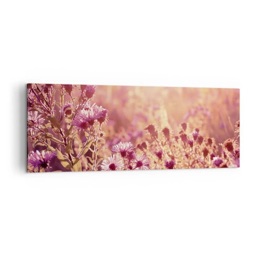 Bild auf Leinwand - Leinwandbild - Wiese im Licht der untergehenden Sonne - 140x50cm - Bevor der Sommer vorbei ist - Moderne Wanddekoration für Wohnzimmer und Schlafzimmer ARTTOR